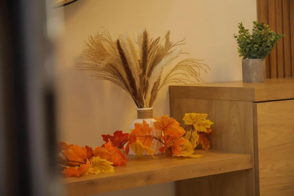 Appartement αntonia πολυτελείς διαμονή στο χωριό λιγόρτινος! *